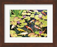 Koi Pond IV Fine Art Print