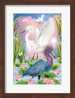 LIttleblue And Snowy Herons Fine Art Print