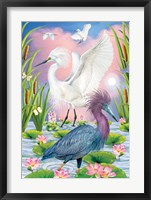 LIttleblue And Snowy Herons Fine Art Print