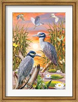 Night Herons Fine Art Print
