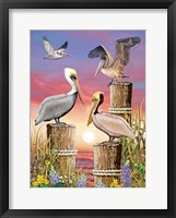 Pelicans-Vertical Fine Art Print