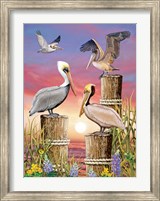 Pelicans-Vertical Fine Art Print