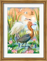 Reddish Heron Two Phases Fine Art Print