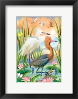 Reddish Heron Two Phases Fine Art Print