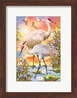 Sandhill Cranes Fine Art Print