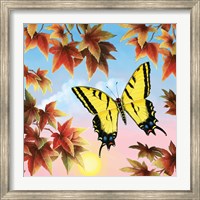 Swallowtail Fine Art Print