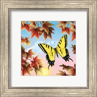 Swallowtail Fine Art Print