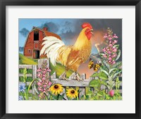 Yellow Rooster Greeting The Day Fine Art Print