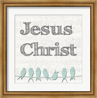 Jesus Christ Birds Fine Art Print