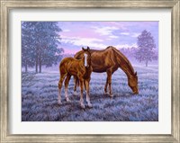 A New Day Begins Fine Art Print