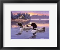 Loon Lake Framed Print