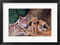 Wolf Den Fine Art Print