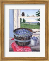 Blueberries And Red Bandana Fine Art Print