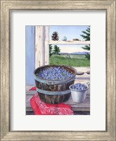 Blueberries And Red Bandana Fine Art Print