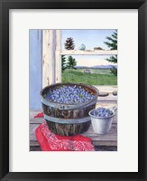 Blueberries And Red Bandana Fine Art Print