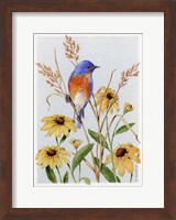 Bluebird And Blackeyed Susans Fine Art Print