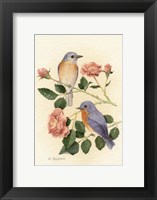 Bluebird I Fine Art Print
