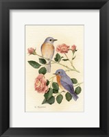 Bluebird I Fine Art Print
