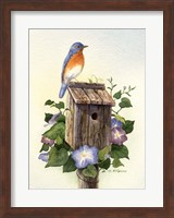 Bluebird III Fine Art Print