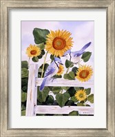 Bluejays And Sunflowers Fine Art Print