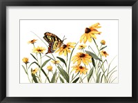 Butterfly & Black Eyed Susans Fine Art Print
