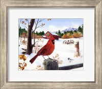 Cardinal Mornings Fine Art Print