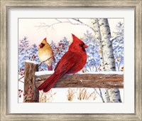 Cardinal Pair with Birch Fine Art Print