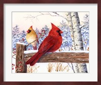 Cardinal Pair with Birch Fine Art Print
