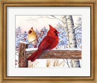 Cardinal Pair with Birch Fine Art Print