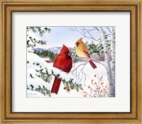 Cardinals And Hemlock Tree Fine Art Print