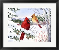 Cardinals And Hemlock Tree Fine Art Print