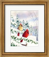 Cedar Farms Cardinals I Fine Art Print