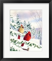 Cedar Farms Cardinals I Fine Art Print