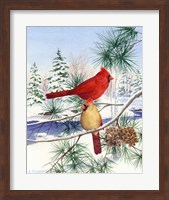 Cedar Farms Cardinals II Fine Art Print