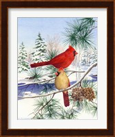 Cedar Farms Cardinals II Fine Art Print