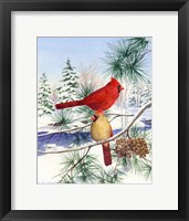 Cedar Farms Cardinals II Framed Print
