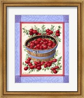 Cranberries Fine Art Print