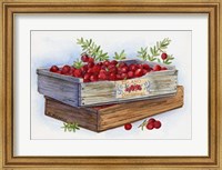 Cranberry Crates Fine Art Print