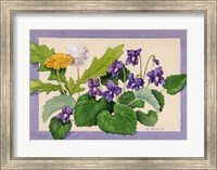 Dandelion And Violets Fine Art Print