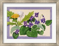 Dandelion And Violets Fine Art Print