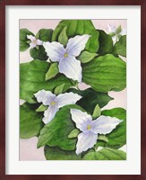 Large Flowered White Fine Art Print