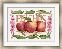 Peaches Fine Art Print