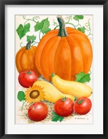 Pumpkins, Tomatoes and Squash Fine Art Print