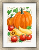 Pumpkins, Tomatoes and Squash Fine Art Print