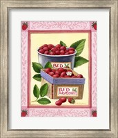 Red Raspberries Fine Art Print