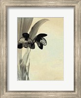 Orchid Blush Panels I Fine Art Print