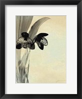 Orchid Blush Panels I Fine Art Print