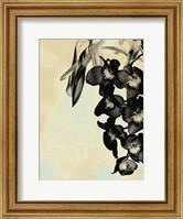 Orchid Blush Panels II Fine Art Print