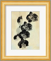 Orchid Blush Panels III Fine Art Print