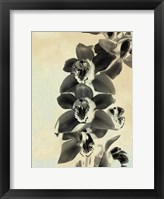 Orchid Blush Panels IV Fine Art Print